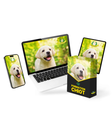 Educ Dog - Formation chiot