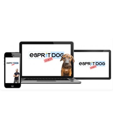 Esprit Dog - Formation chiot