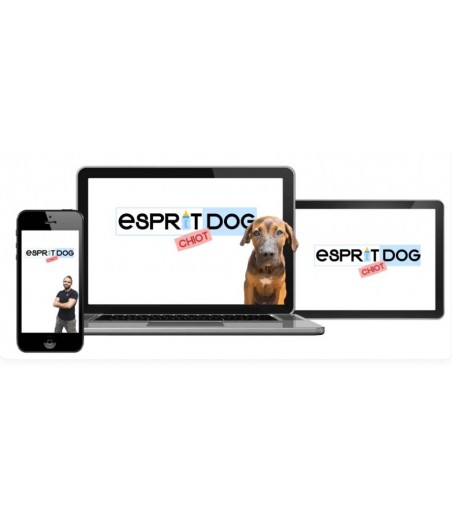 Esprit Dog - Formation chiot