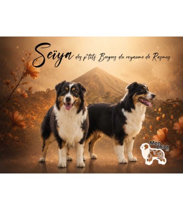 Seïya, une maman...