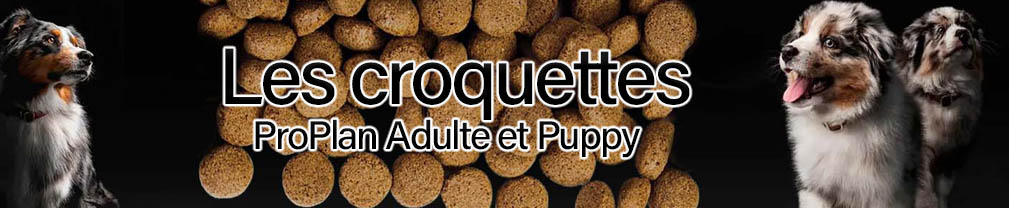 croquettes chien berger australien proplan